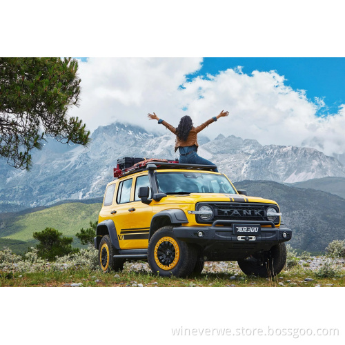 Cross Country Vehicle Wholesale Most Popular Used Car Tank 300 In China Cheap Car Used Car BYD
